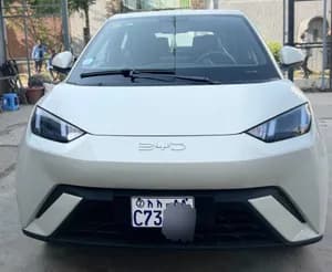 BYD Seagull Smart 2025
