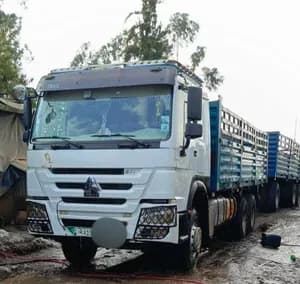 Sino Casoni Truck 2022