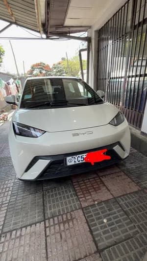 BYD Seagull 2024 Electric