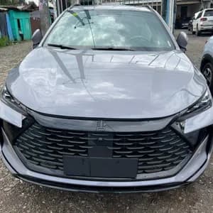 2025 BYD Tang DM-I Flagship