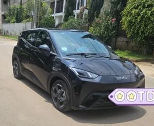 BYD Seagull 2024 Electric