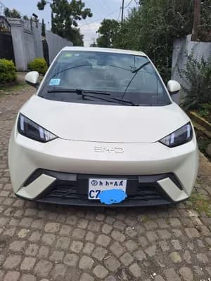 BYD Segull 2025