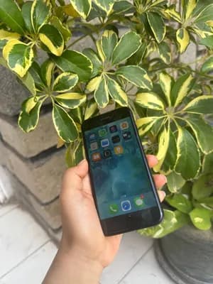 Apple iPhone 7 32GB Used