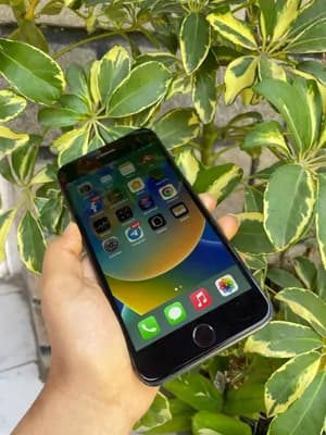 Apple iPhone 8 Plus 64GB