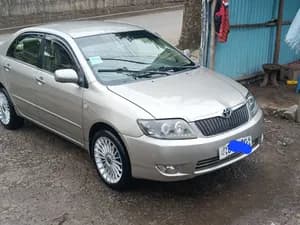 Toyota Corolla Executive 2007