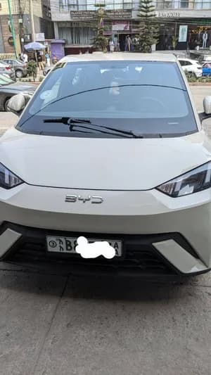 BYD Seagull 2024