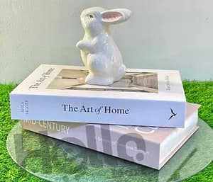 2 Pcs Decoration Books