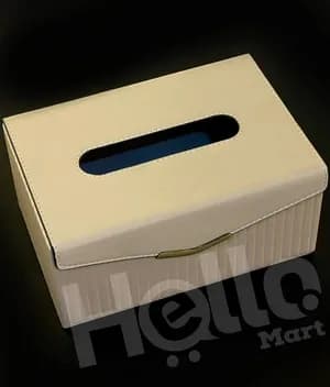 Elegant Tissue Holder Box