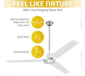 Changli Crown 56 inch Ceiling Fan