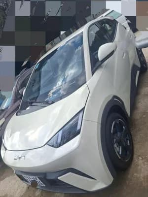 BYD Seagull 2025 Electric
