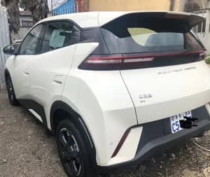 BYD segull