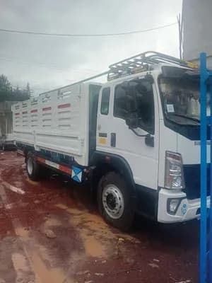 Sinotruk Cargo Truck 2025