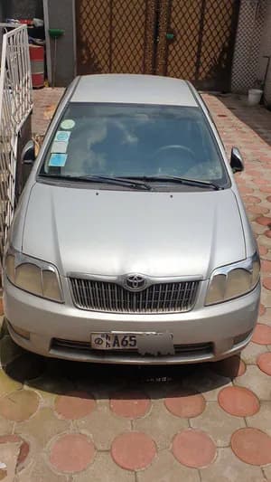 Toyota corolla