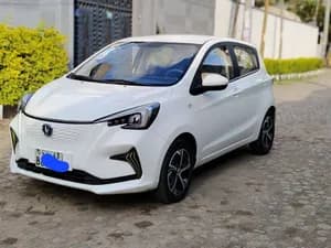 E-Star 2023 Electric Car