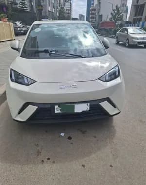 BYD segull