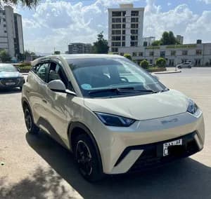 BYD White Electric Car 2023