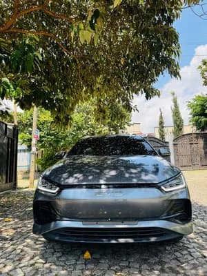 BYD e2 2024 38.88KWh