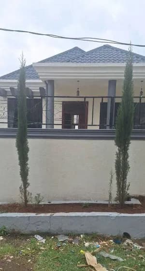 Modern Villa House with Basement