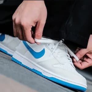 Nike Dunk Low SB Pure Platinum Light Blue