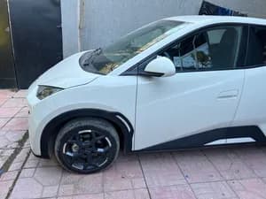 BYD Seagull 2025