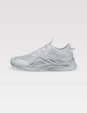 ECCO BIOM