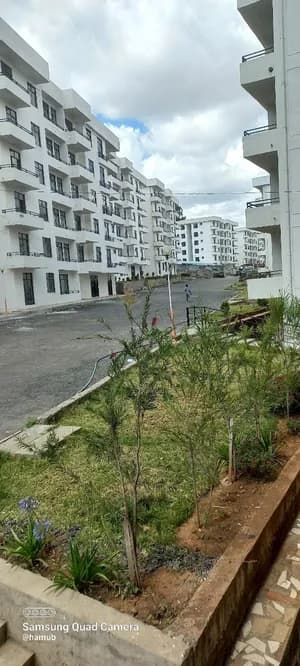 አፓርትመንት 4ኛ ላይ 3 መኝታ 116 ካሬ