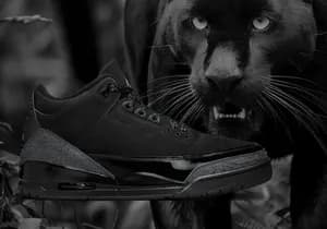 Jordan 3 black cat