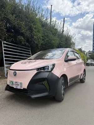 E-Star 2023 Electric Automatic