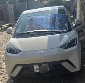 BYD Seagull 2025
