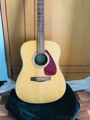 Ibanez Acoustic Guitar