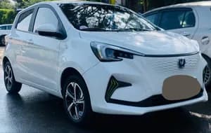 E-setar