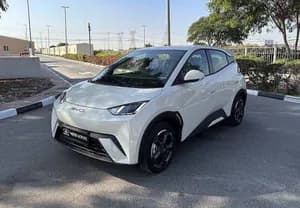 BYD Seagull 2025 Electric SUV