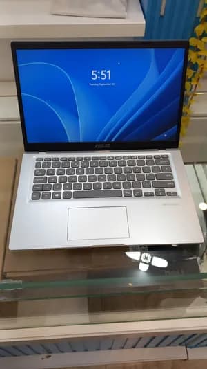ASUS Vivobook AMD Athlon Gold Laptop