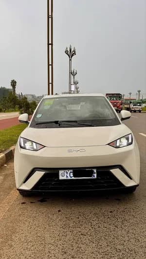 BYD Seagull 2024 Electric Car