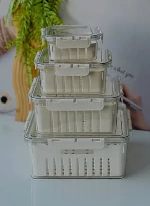 4-Piece Refrigerator Food Storage Box
