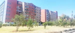 3 Bedroom Condo in Bole Arabsa