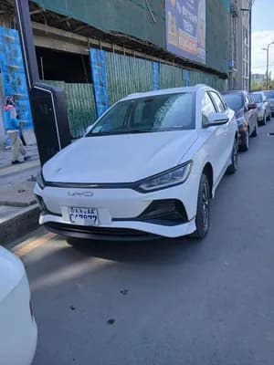 BYD E2 2024 Electric