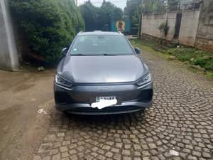 BYD e2 2024 55KW 74HP used