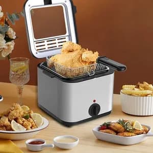 2.5L Stainless Steel Deep Fryer