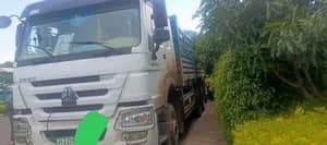 Sinotruk Cargo Truck 2024