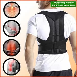 original back support