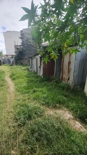ሰሚት 200 ካሬ