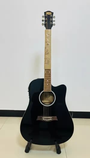 Semi Acoustic Electric Guitar