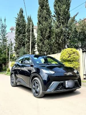 BYD Seagull 2024 Electric
