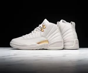 Air Jordan 12 Retro Phantom High