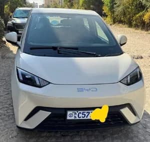 BYD Seagull Premium Electric Crossover 2024