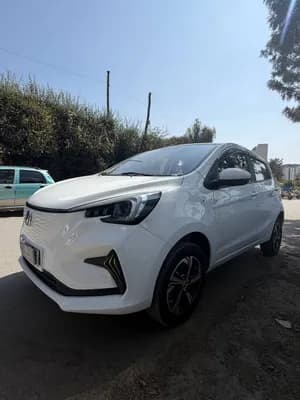 E-Star 2023 Electric Car