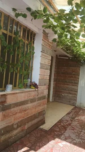 L-Shape Villa in Lebu