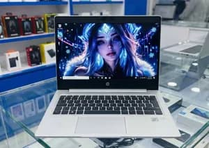 HP ProBook Core i5 10th Gen