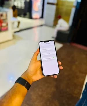 iPhone 13 Pro Max 256GB